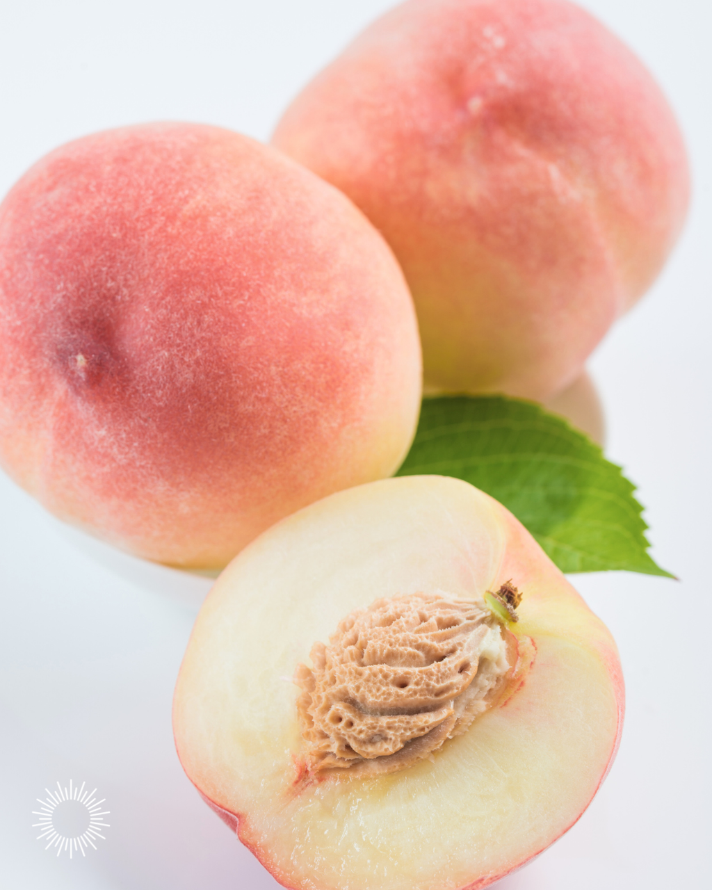 WHITE PEACH + FREESIA